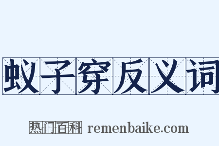 蚁子穿反义词是什么意思的图片